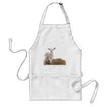 white lamb aprons