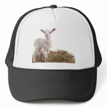 white lamb hat