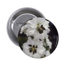 white Larkspur, (Delphinium Hybride) flowers Pinback Buttons