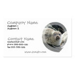 White Leopard Seal Business Card