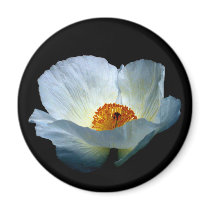 White Light Blooming magnets by tshirtdujour White Light Blooming magnets