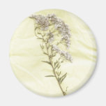 White lilac weed scanned in tissue background magnets