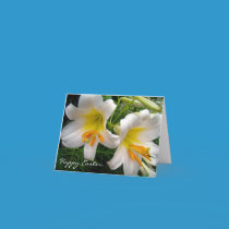 White Lilies Easter cards