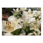 White Lilies Easter Flowers Art Card cards