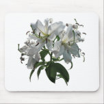 White Lilies