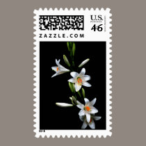 White Lilies postage by zeebuzz White Lilies postage
