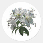 White Lilies Stickers