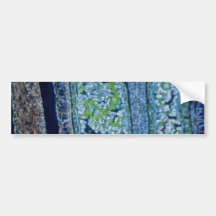 white Lilium flower, stamen flowers Bumper Sticker