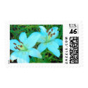 White Lillies postage