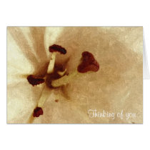 White Lilly Painting Like Sympathy Card
