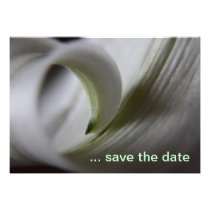White Lilly reminder (save the date) invitations
