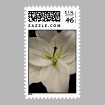 White Lilly With Droplet postage by ChristianTravers White Lilly With Droplet postage