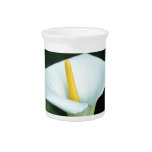 White lily and its meaning pitcher