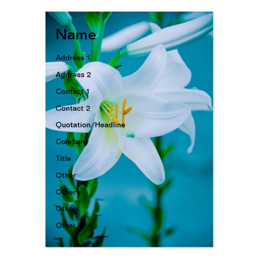 White lily business card template (front side)