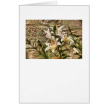 White Lily Cards