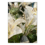 White Lily Easter Art cards