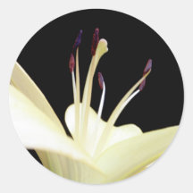 White Lily Flower Lilies Flowers Photo Round Sticker