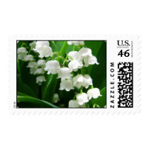 White Lily of the Valley  Postage Stamp