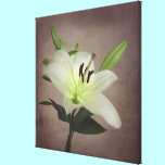 White Lily Photo Canvas Art Print canvas prints