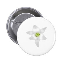 White Lily. Pins