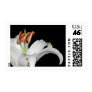 White Lily