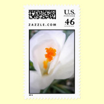 White Lily postage