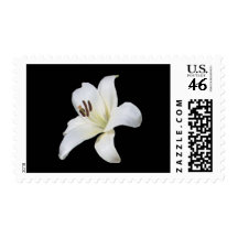 White Lily Postage