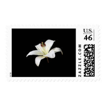 White Lily Postage
