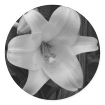 White Lily stickers by princessklb07 White Lily stickers