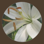White Lily Sticker