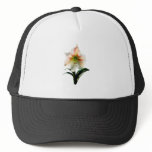 White Lily With Red Stripes Hats
