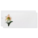 White Lily With Red Stripes Rack Cards