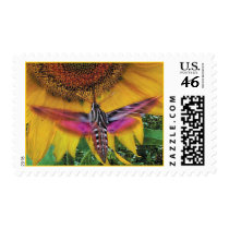 White Lined Sphinx postage by ginaayerssignore White Lined Sphinx postage