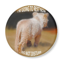 White Lion Cub magnets