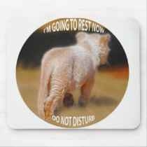White Lion Cub mousepads by laureenr White Lion Cub mousepads