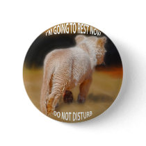 White Lion Cub Pinback Buttons