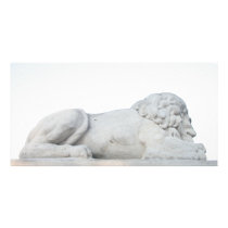 White Lion Photo Card Template