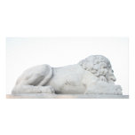 White Lion Photo Card Template