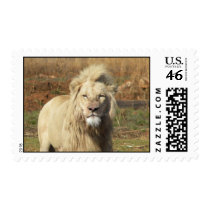 white lion postage stamps
