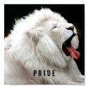 white lion Pride Poster posters