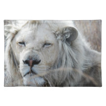 White lion resting - African Place Mats