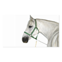 White Lipizzaner Horse Business Card Templates