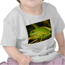 White Lipped Tree Frog Litoria Infrafrenata Tshirt