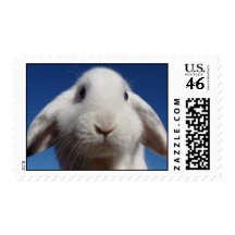 White Lop Stamp