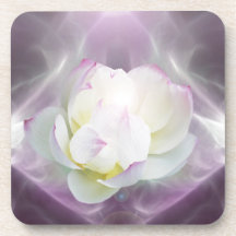 White lotus flower coasters