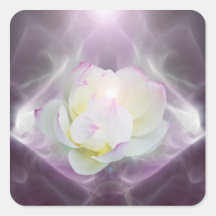 White lotus flower square stickers