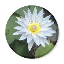 White Lotus Magnet by loveinvented White Lotus Magnet