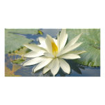 White lotus custom photo card
