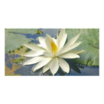 White lotus custom photo card