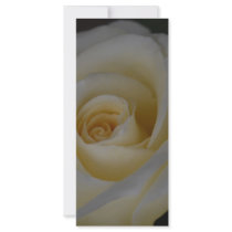 White Love rack cards